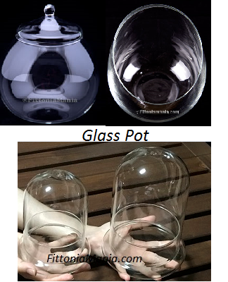 Glass Pot
